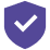 100% Private & Secure